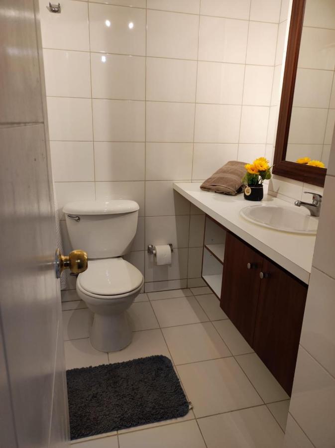 サンティアゴRosemberg Apartアパートメント エクステリア 写真