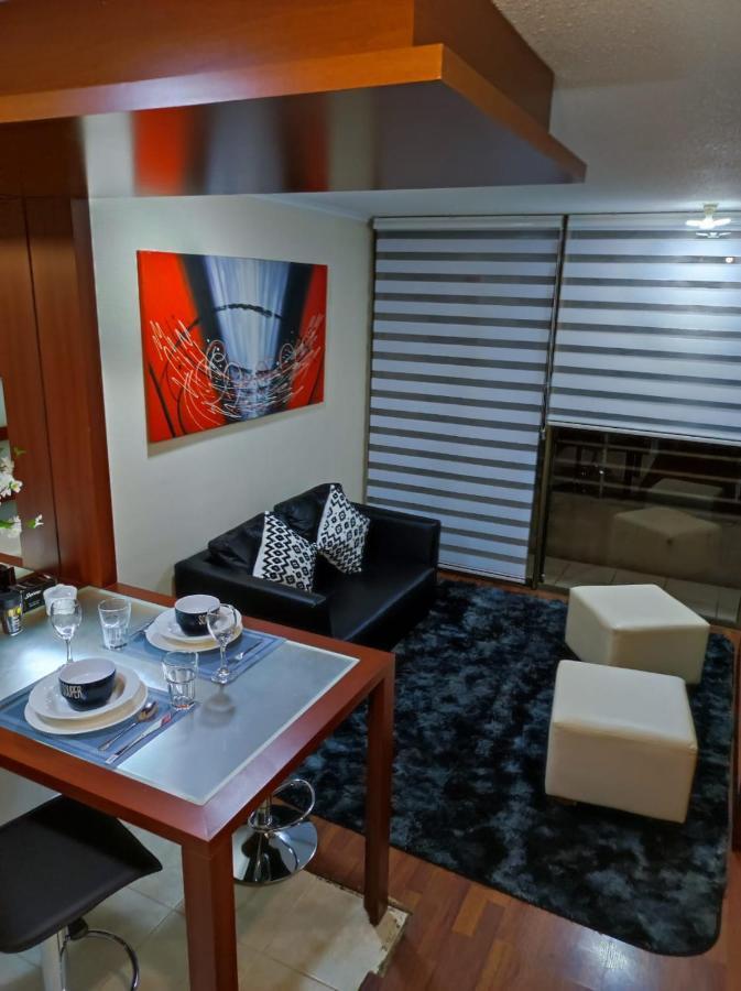 サンティアゴRosemberg Apartアパートメント エクステリア 写真